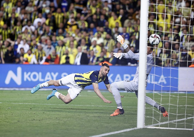 南美明星光 南美明星光