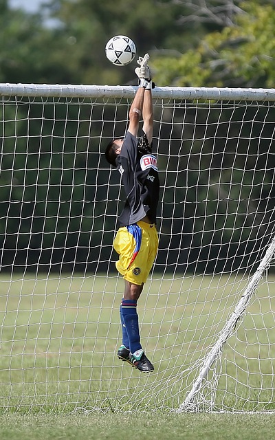 利交通将影 利交通将影